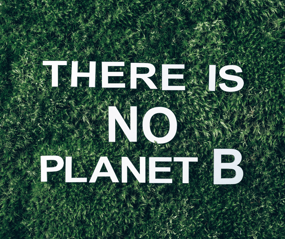 okoljska ozaveščenost, digitalna strategija, mlajše generacije, zelen marketing, ni planeta B, zelena marketinška strategija