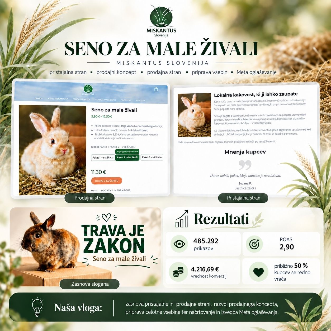 digitalni in vsebinski marketing, Meta oglaševanje, zasnova slogana, digitalna strategija